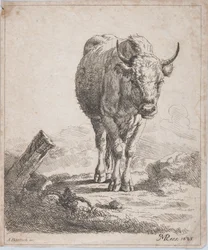 En ko, sedd framifrån, 1805.