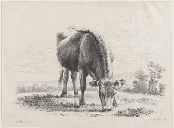 Kobete, 1805., 1805.