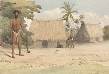 "Feejee hårfrisering; från en av Tanoas yngre söner, 7 oktober 1849 [Fiji]