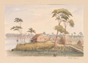 Sarawak från Västindien, Nordamerika och Borneo klippbok