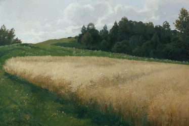 Havrefältet
