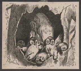 Uggla med ungar, ca 1890 (quickpress print)