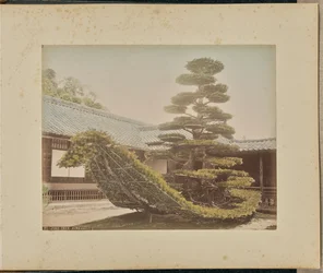 Tall, Kinkakuji