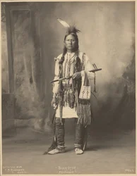 [Svart utter, av Arapaho-folket]
