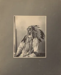 Döda fläckiga hästen, Assiniboines