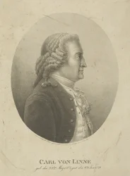Porträtt av Carl Linné 1707-1778, ca. 1800.