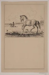 Hästen i vattnet. Nej. 22 i Chr. Winther och M. Rørbye, "25 bilder för små barn"