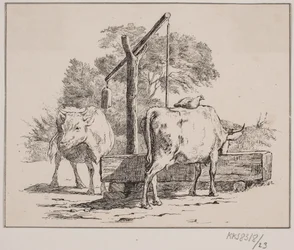 Hönan och kon