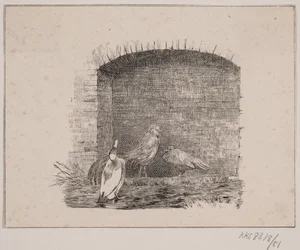 Kycklingarna och ankorna