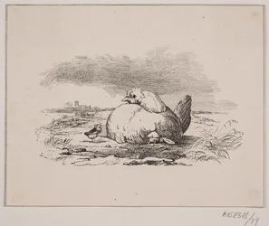 Kycklingarna