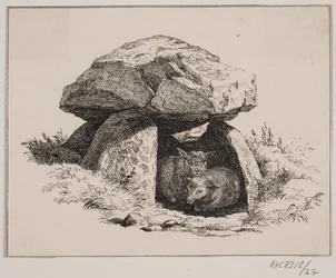 Lammen