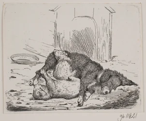 Koppel hund med valp