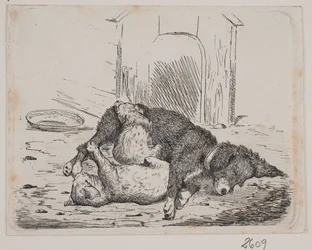Koppel hund med valp