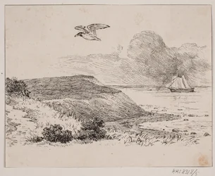 Måsen