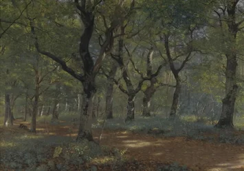 I skogen