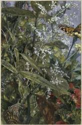 Blommor med en fjäril och en snigel. Ur ”Barnalbumet”