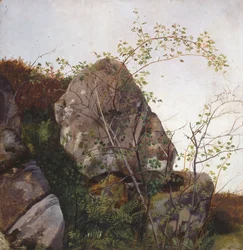 Blommande vildrosor och ormbunkar