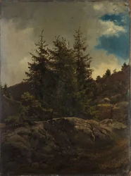 Landskap från Nes i Hallingdal