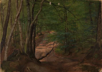 Väg i skogen