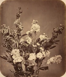 Bukett, ca. 1855.