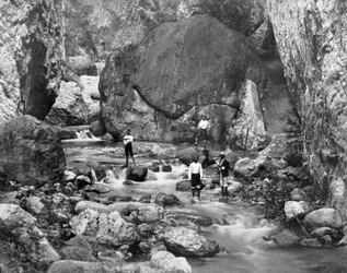 Cane River, Jamaica, c1905.