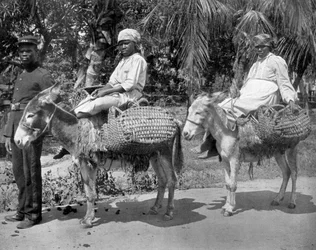 Iväg till fängelset, Jamaica, c1905.