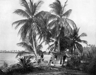 På vägen till Blue Hole, Port Antonio, Jamaica, c1905.