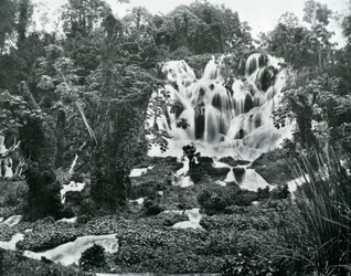 Roaring River Falls, Jamaica, c1905.