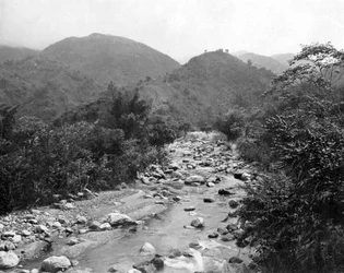 The Wag-River, Castleton, Jamaica, c1905.