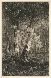 Bokarna