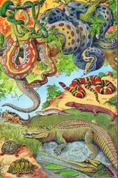 Illustration av reptiler c.1923