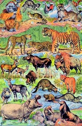 Illustration av vilda djur c.1923