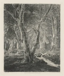 Pierrefonds Woods