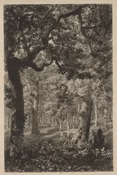 I skogen