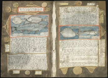 Adriaen Coenens Visboeck - KB 78 E 54 - folios 339v (vänster) och 340r (höger)