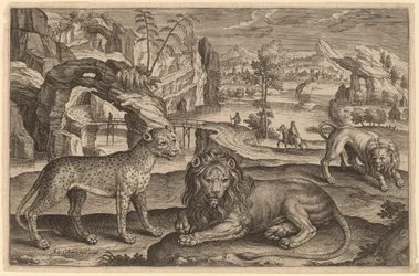 En leopard och två lejon