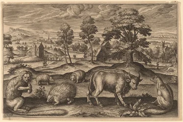 En apa, ett piggsvin, två igelkottar, en buffel och en räv