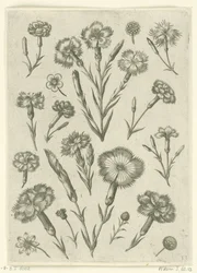 Olika ilska Florilegium (serietitel)