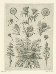 Avlägsen på olika sätt Florilegium (serietitel)