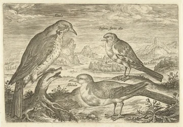 Tre fåglar i ett landskap Avium Vivae (serietitel) Fåglar (serietitel)
