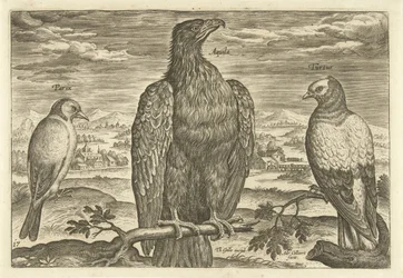 Tre fåglar i ett landskap Avium Vivae (serietitel) Fåglar (serietitel)