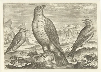 Tre fåglar i ett landskap Fåglar (serietitel) Avium vivae (serietitel)