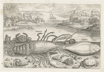 En fisk och några kräftdjur på stranden Fiske (serietitel) Piscivm vivae-ikoner (serietitel)