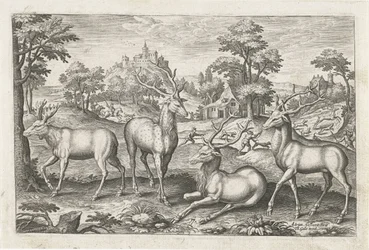 rådjur Fyrbenta djur (serietitel) Animalivm Qvaddrvpedvm (serietitel)
