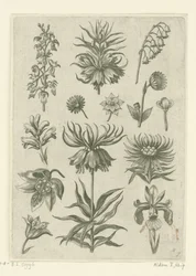 Kejsarkrona, orkidé och liljekonvaljer Florilegium (serietitel)