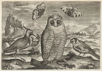 Vipa, hornuggla och steglits
