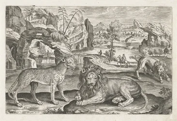 Lejon och leopard Fyrbenta djur (serietitel) Animalivm Qvaddrvpedvm (serietitel)
