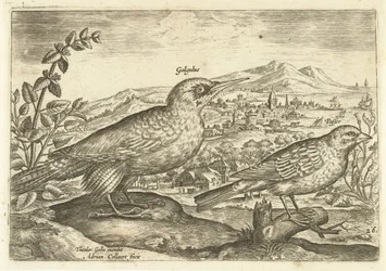 Två fåglar i ett landskap Avium Vivae (serietitel) Fåglar (serietitel)