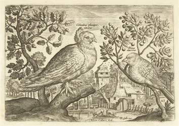Två fåglar i ett landskap Avium Vivae (serietitel) Fåglar (serietitel)