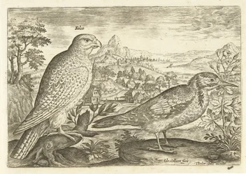 Två fåglar i ett landskap Avium Vivae (serietitel) Fåglar (serietitel)